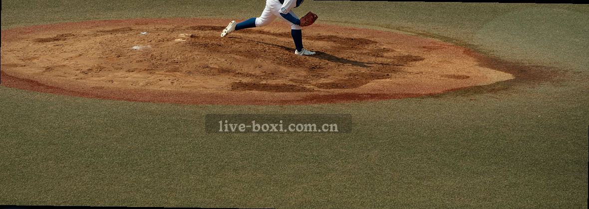 博喜体育官方站平台定位与综合服务说明